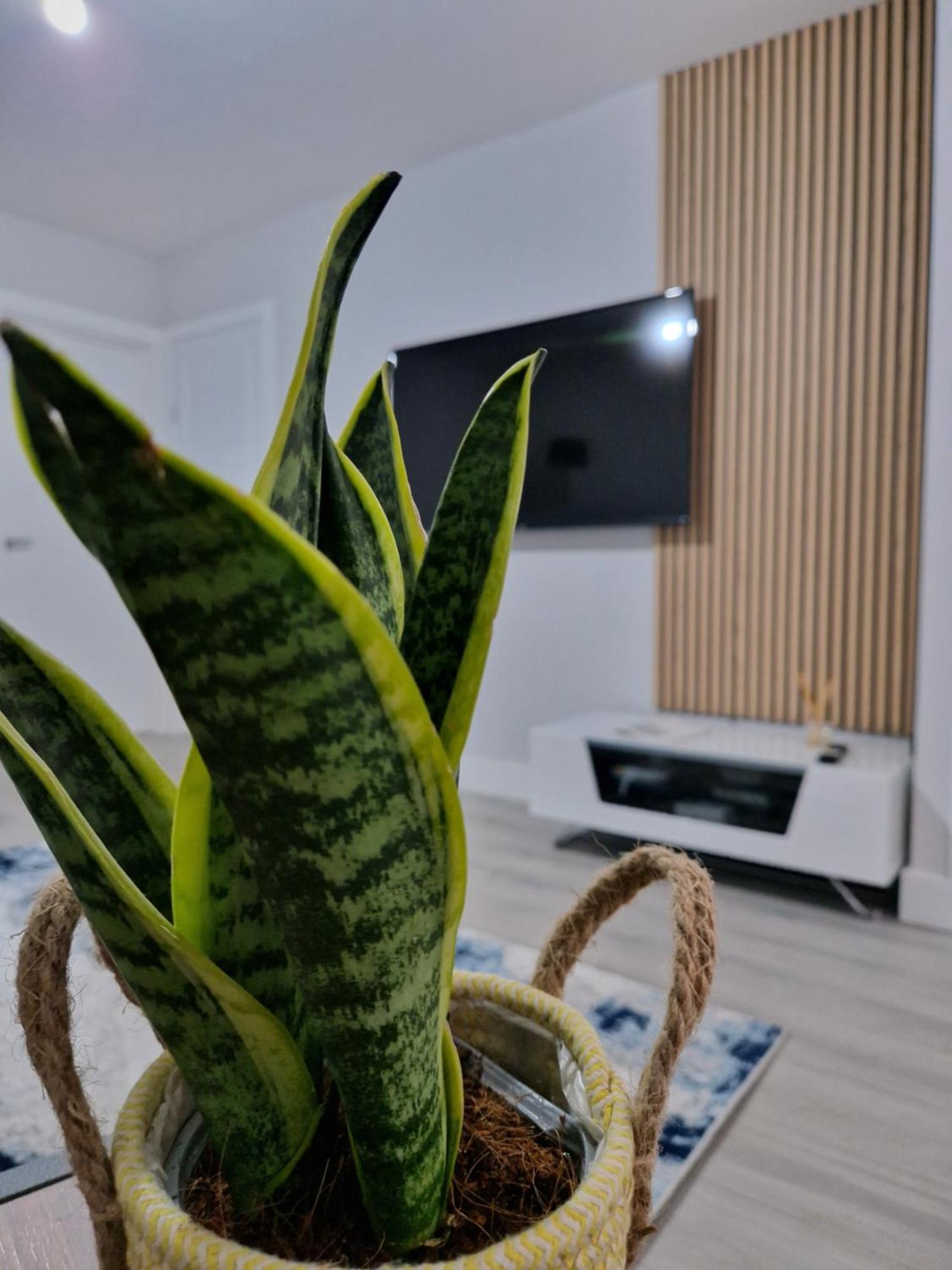Stylish 2 Bed Home- Short Walk To Tottenham Stadium/Stations Лондон Екстер'єр фото
